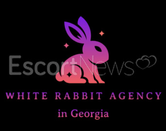 White Rabbit
