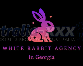 White Rabbit